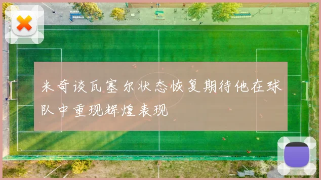 米奇谈瓦塞尔状态恢复期待他在球队中重现辉煌表现