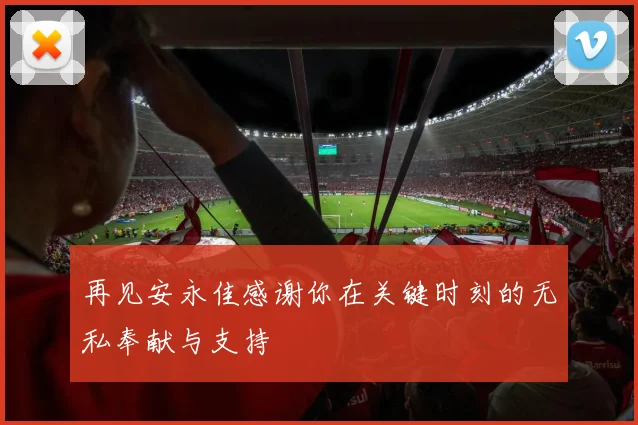 再见安永佳感谢你在关键时刻的无私奉献与支持