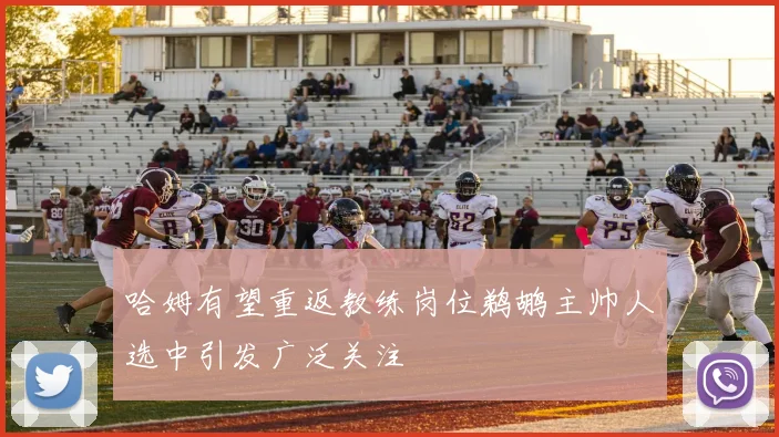 哈姆有望重返教练岗位鹈鹕主帅人选中引发广泛关注