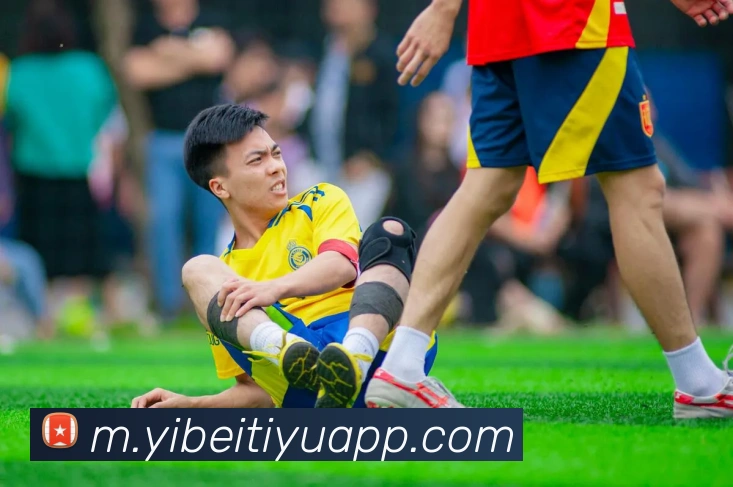 App Interface Preview