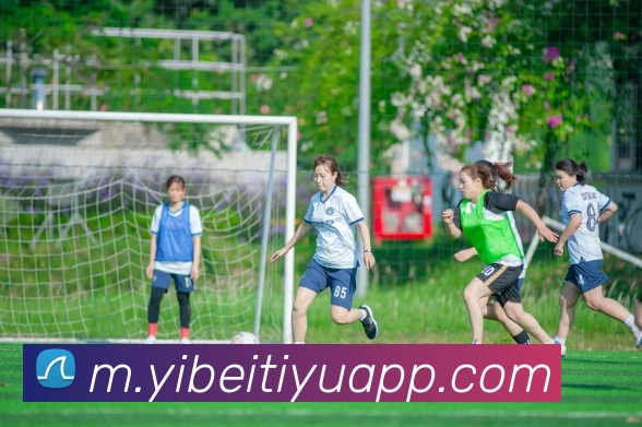 数据防护可视化